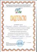 Свидетельство об участии в работе Открытых методических площадок по жанрам самодеятельного художественного творчества и социально-культурной деятельности, посвящённых 80-летию Новосибирской области. Секция для руководителей народных оркестров и концертмейстеров. 12-17 апреля 2017 г.